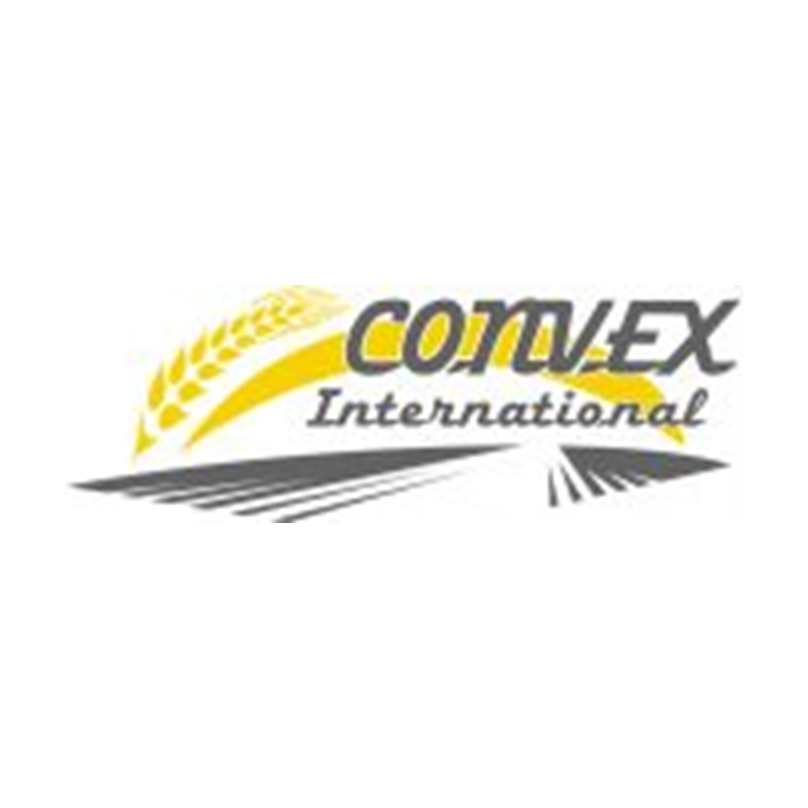 AVR Dealer_Convex International